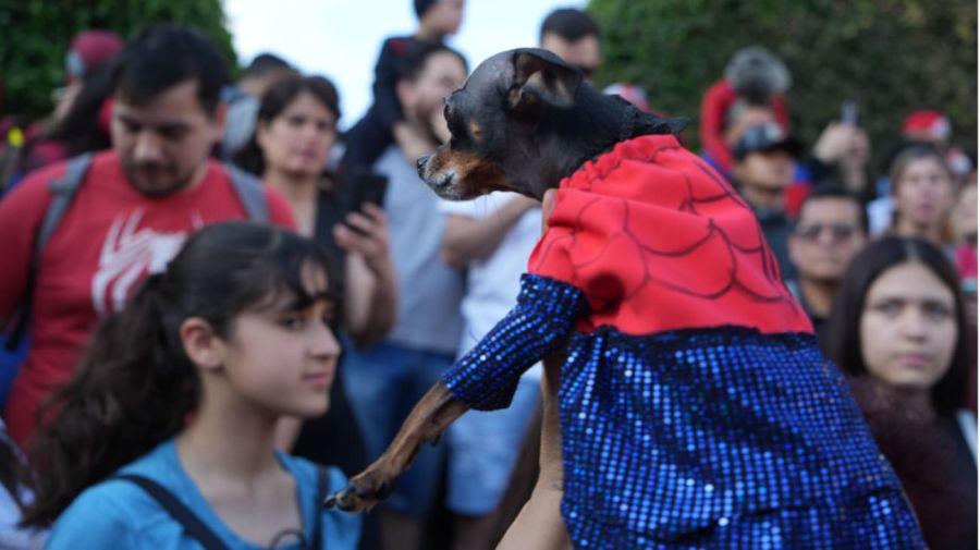 spiderman-hombre-arana-obelisco-1-na-g20231029-1686489