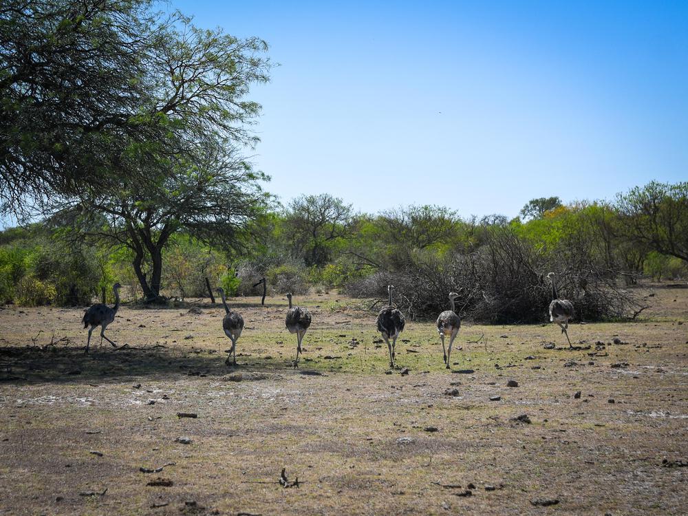 2023-09-28NID_279132O_2