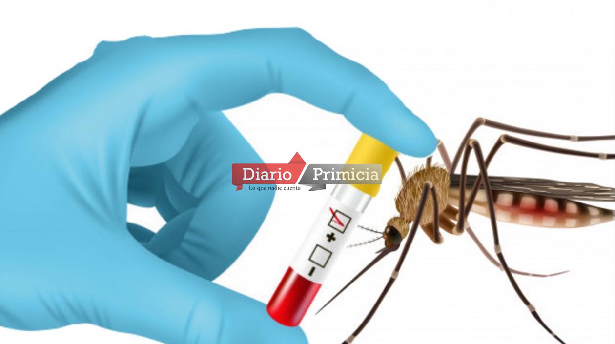 dengue 1 (1)