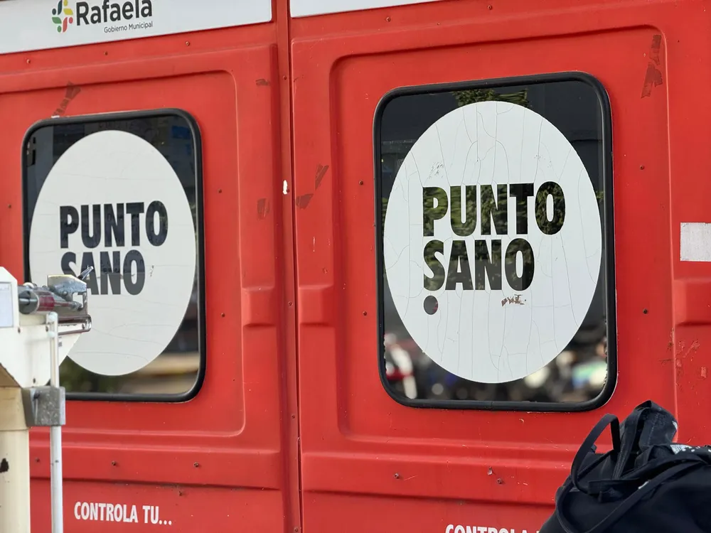 Punto sano8