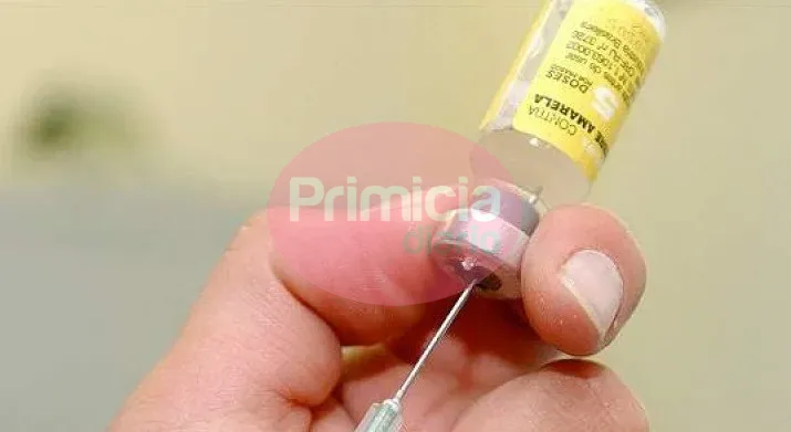 WhatsApp Image 2025-01-24 at 09.57.58