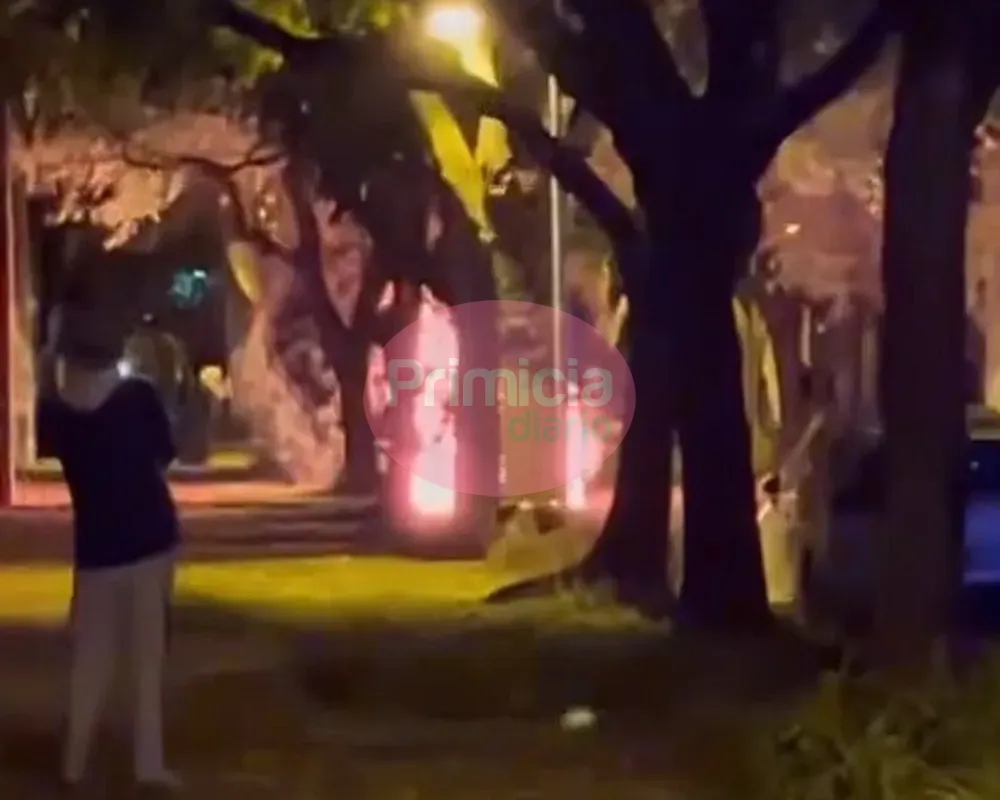 Incendio de un auto (1)