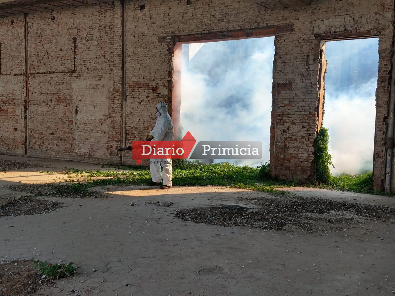 Fumigación Recova 1