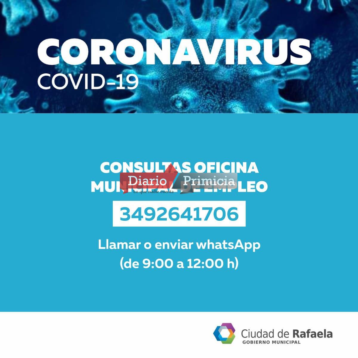 consultas