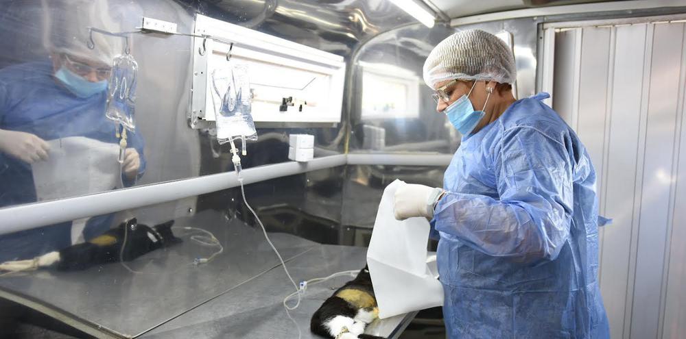 WhatsApp Image 2023-05-09 at 14.01.00