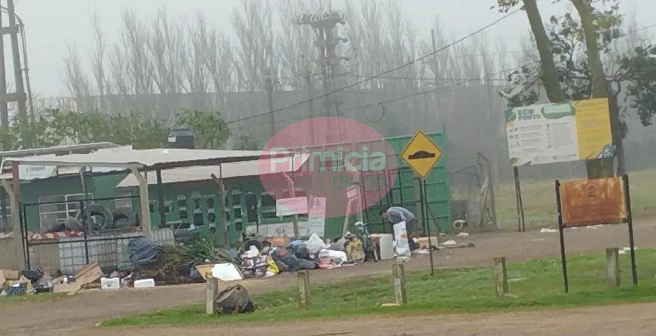 WhatsApp Image 2024-07-10 at 10.08.04 AM