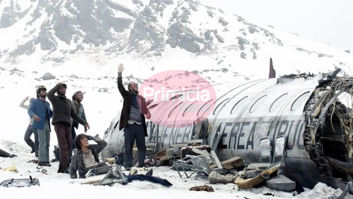 cats_1.jpg_554688468