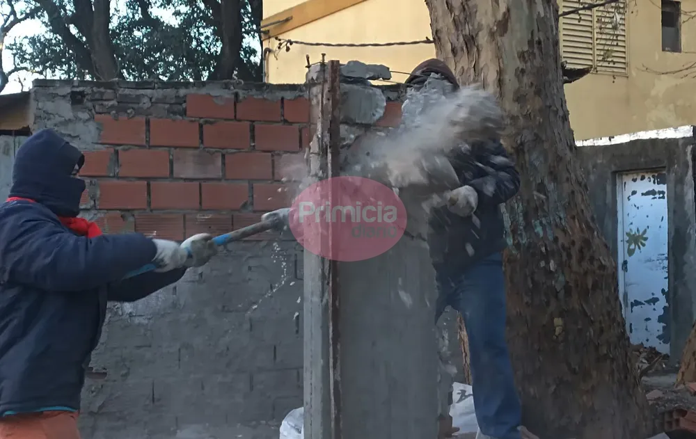 WhatsApp Image 2024-07-12 at 11.25.32 AM