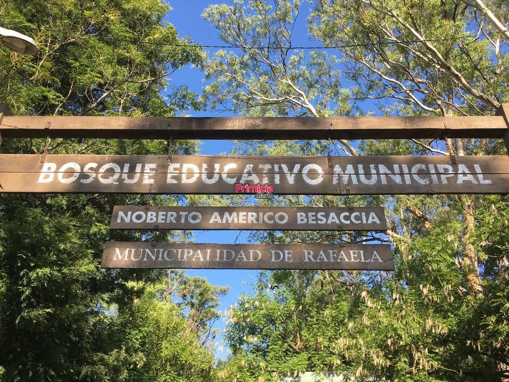 bosque besaccia