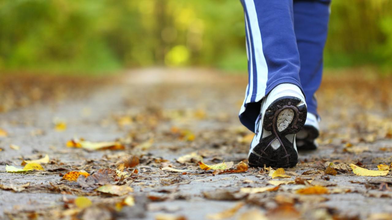 El-poder-de-una-buena-caminata-diaria