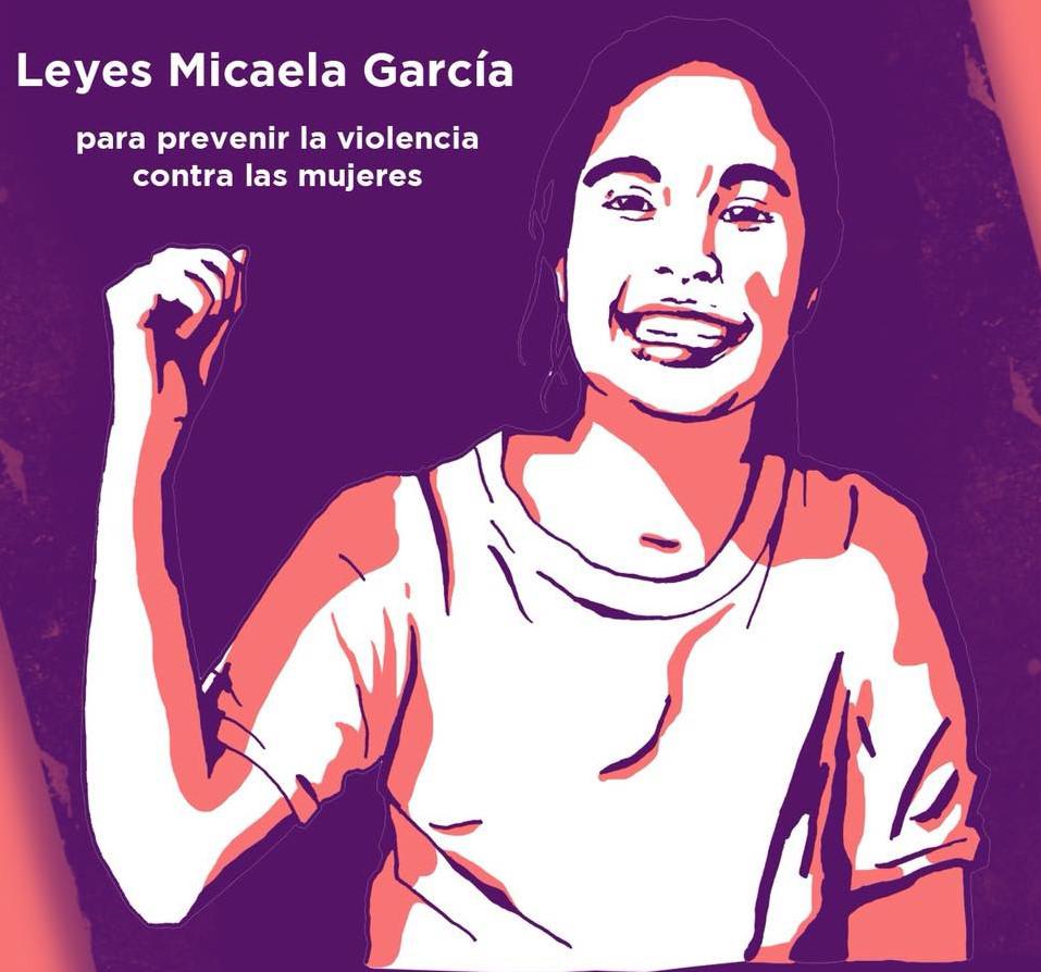 ley micaela