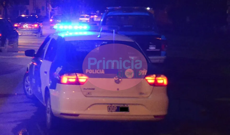 multimedia.normal.b5fcf2b5cf554434.70617472756c6c65726f5f6e6f726d616c2e6a7067