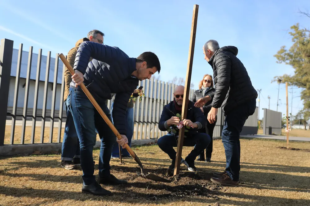 WhatsApp Image 2025-07-06 at 20.43.16