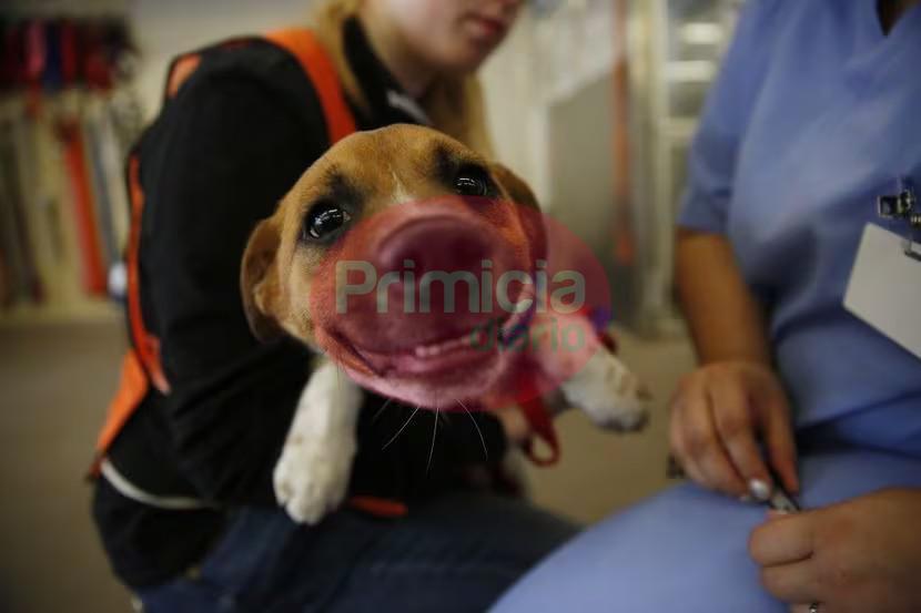 cjvotv67y5ng3ya7yjaifieeam