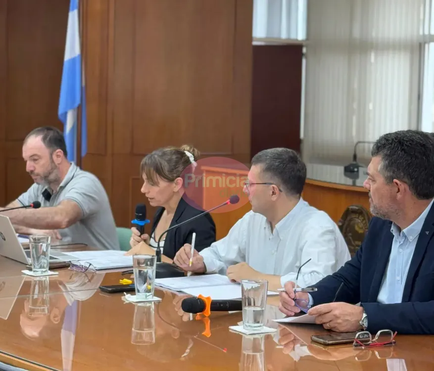 WhatsApp Image 2024-11-26 at 11.00.23