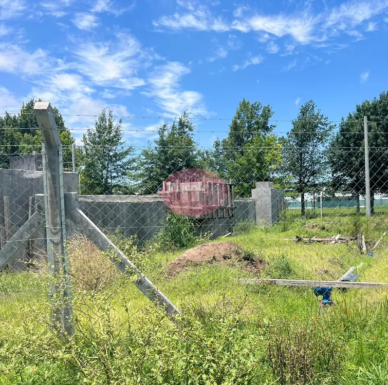 WhatsApp Image 2024-12-13 at 14.39.56