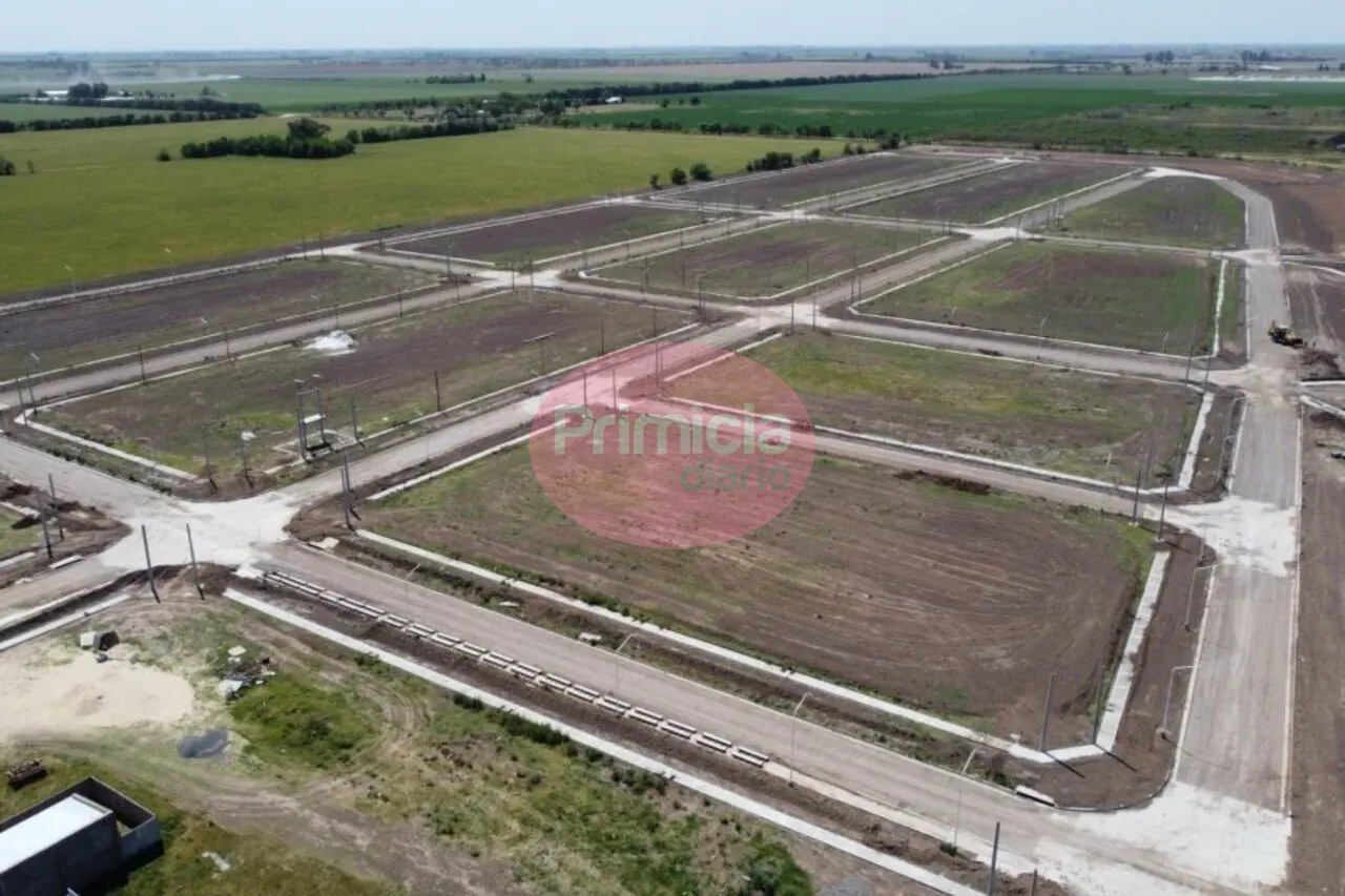315 lotes (1)