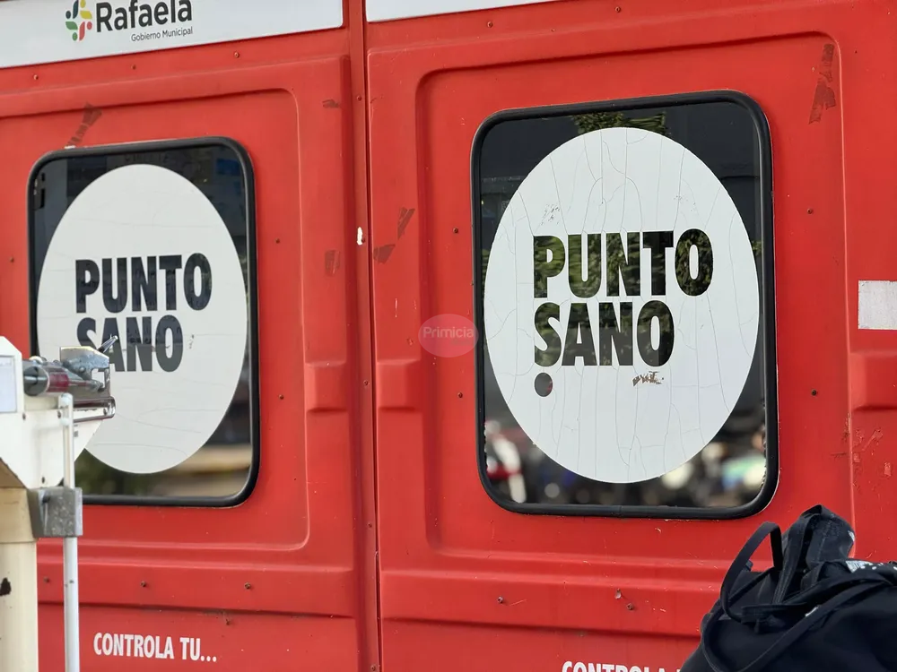 Punto sano8