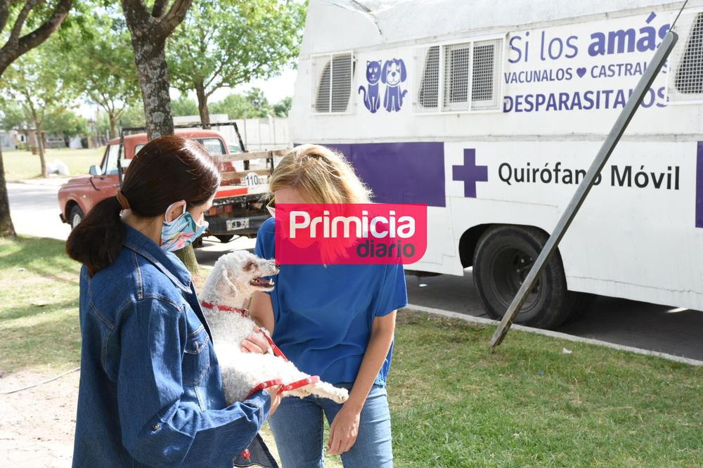 Quirófano con Amalia 2 (1)