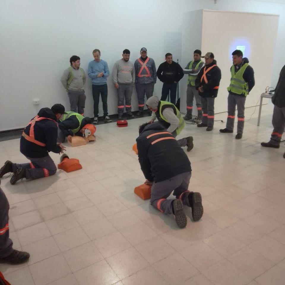 Icedel RCP 2