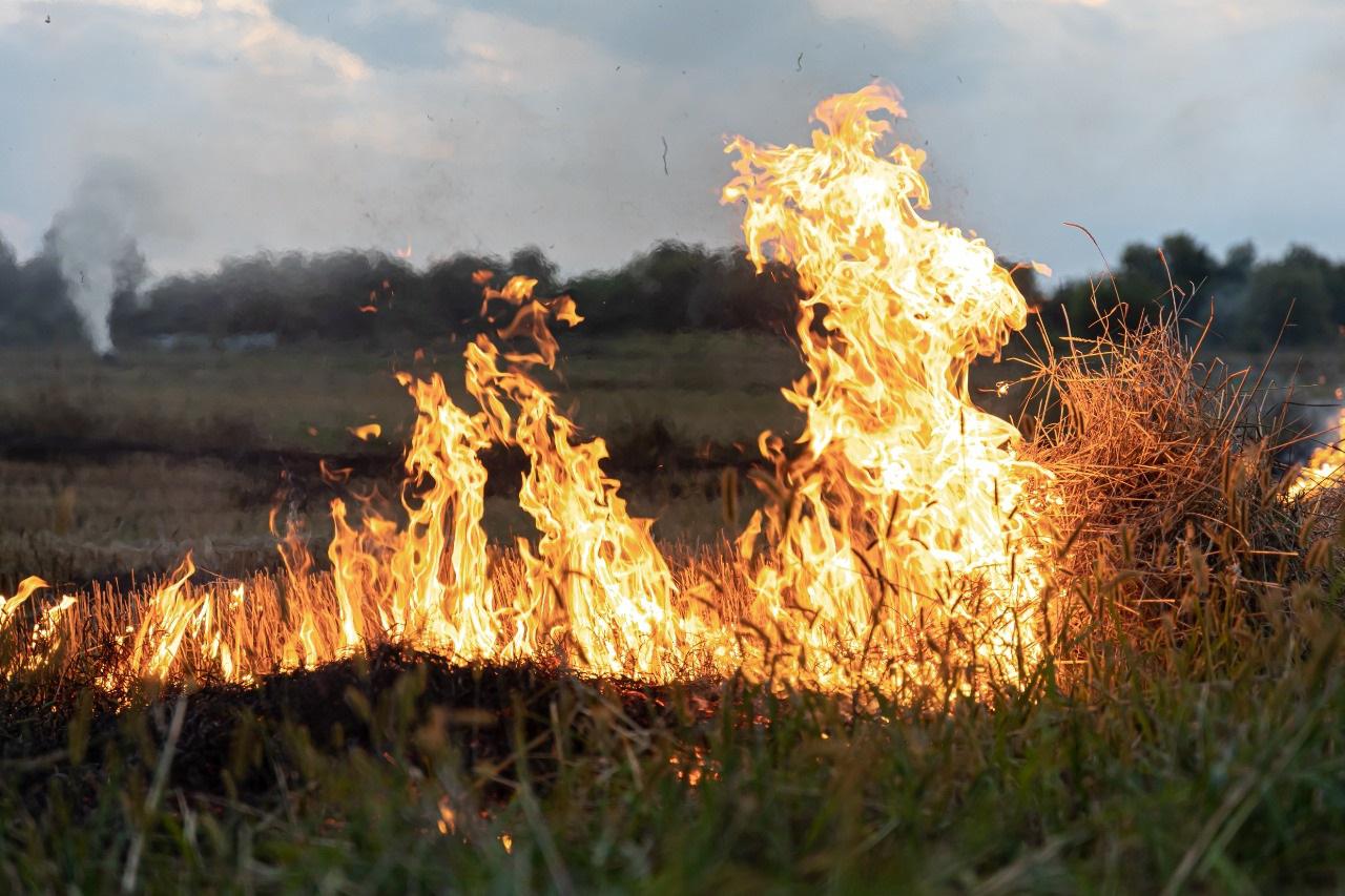 cuidados incendios