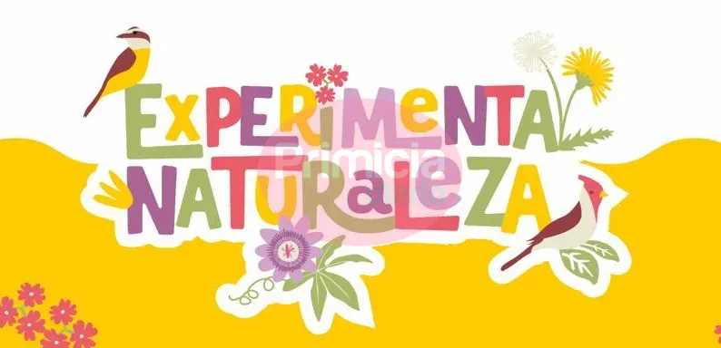 WhatsApp Image 2024-07-04 at 8.44.46 AM