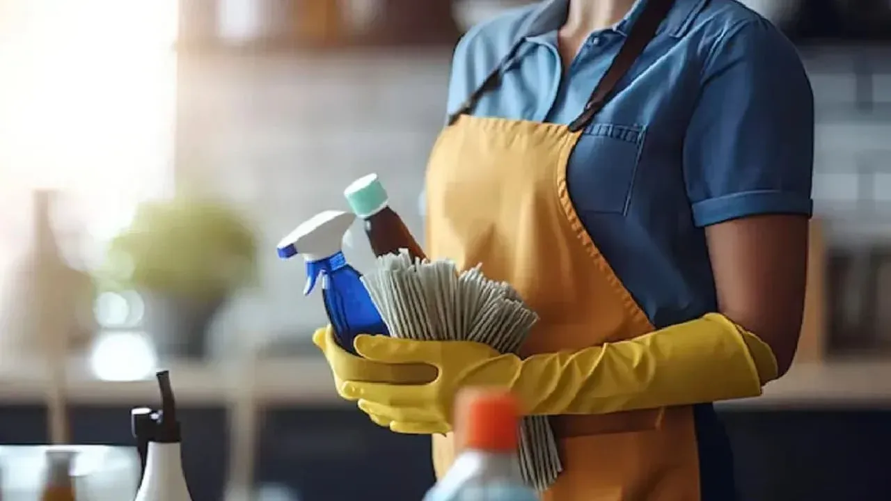 empleada domesticas