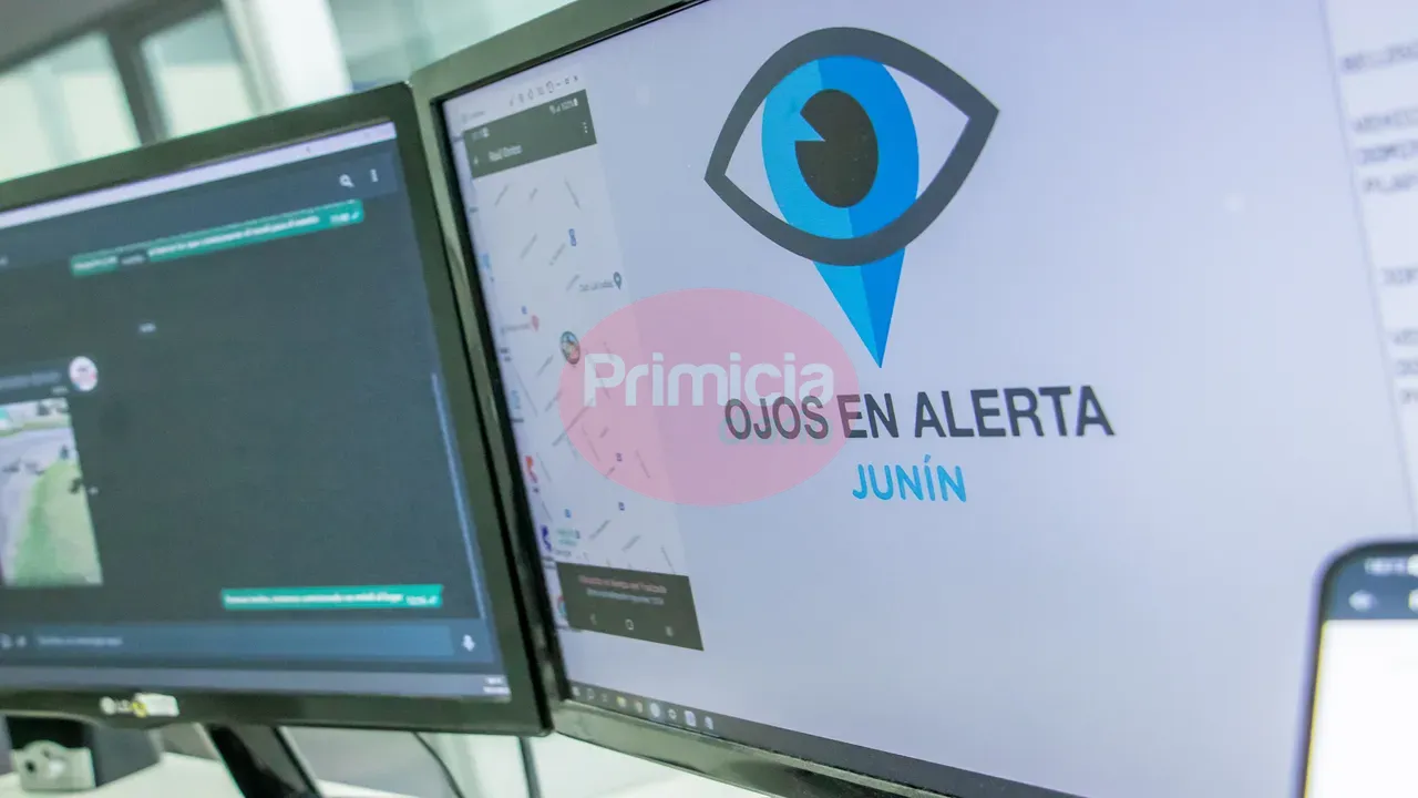 Ojos-en-alerta-9cb2dd (1)