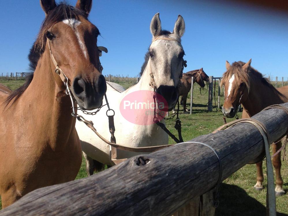 WhatsApp Image 2024-02-08 at 19.33.16