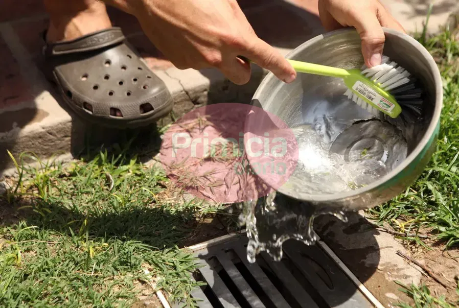 Anotación 2024-11-28 110101 (1)