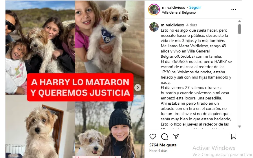 Harry perro