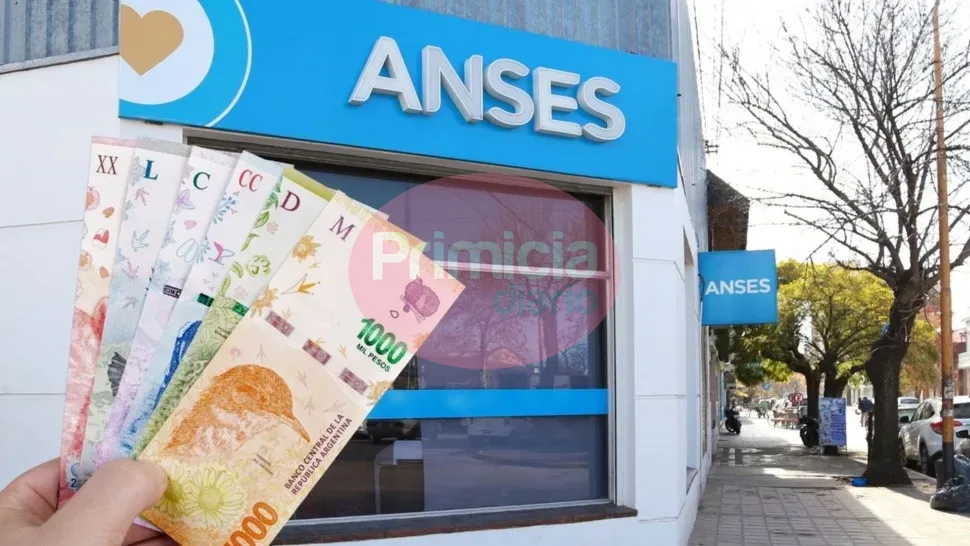 sin_turnos_en_anses.jpg_966076397