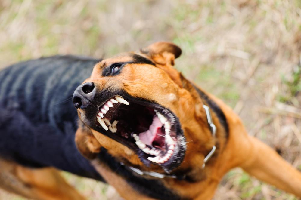 istock-938292878