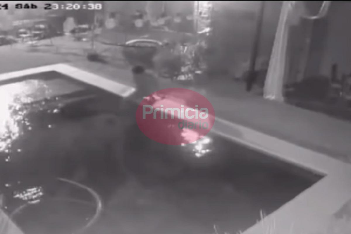 Ahogo a un perro (1)